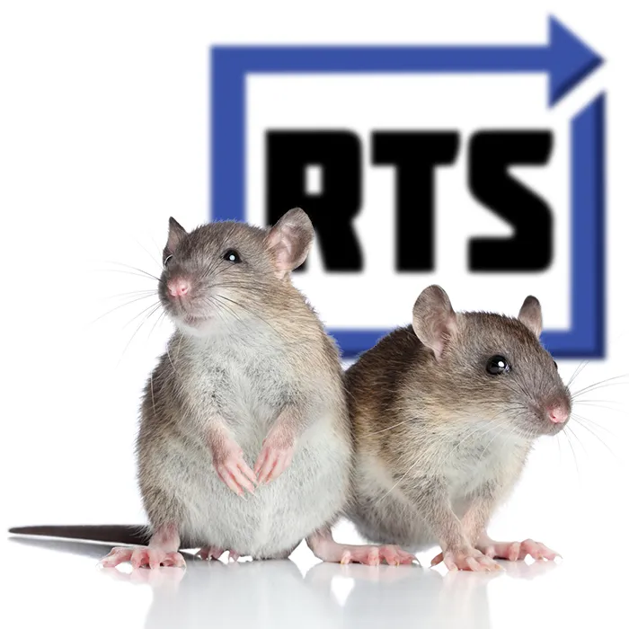 Rodent Pest Control Salida CA