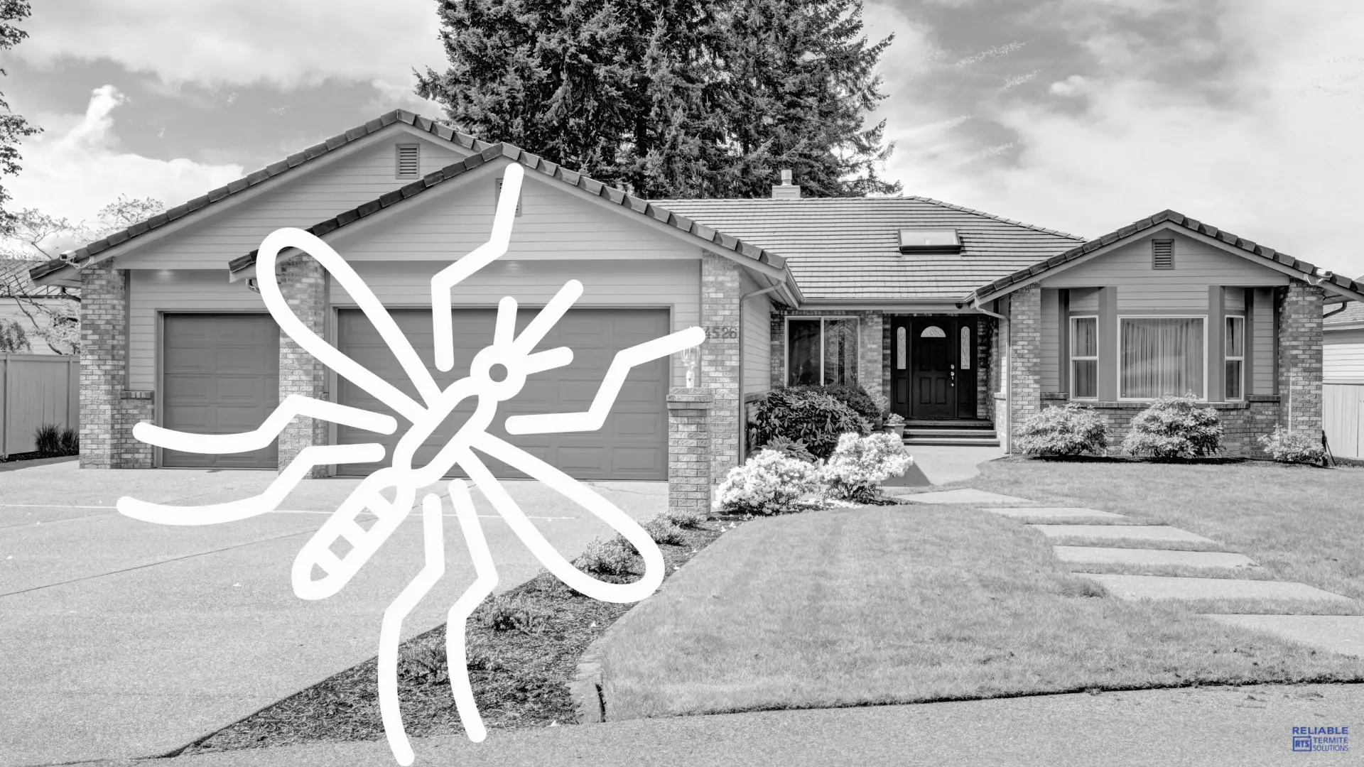 Mosquito Control Services
