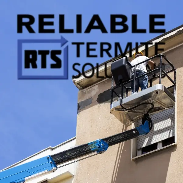 Bird Removal Services