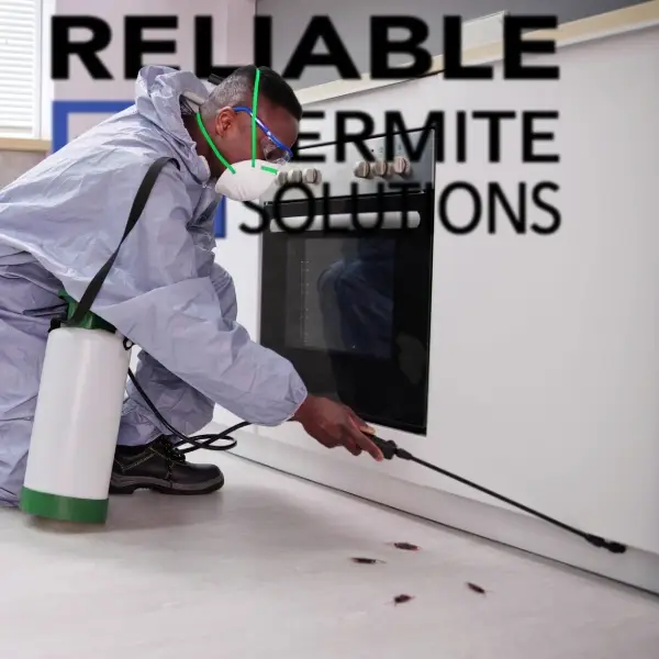 Learn More About Roaches