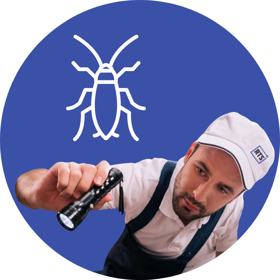 Cockroach Extermination Expert In Patterson