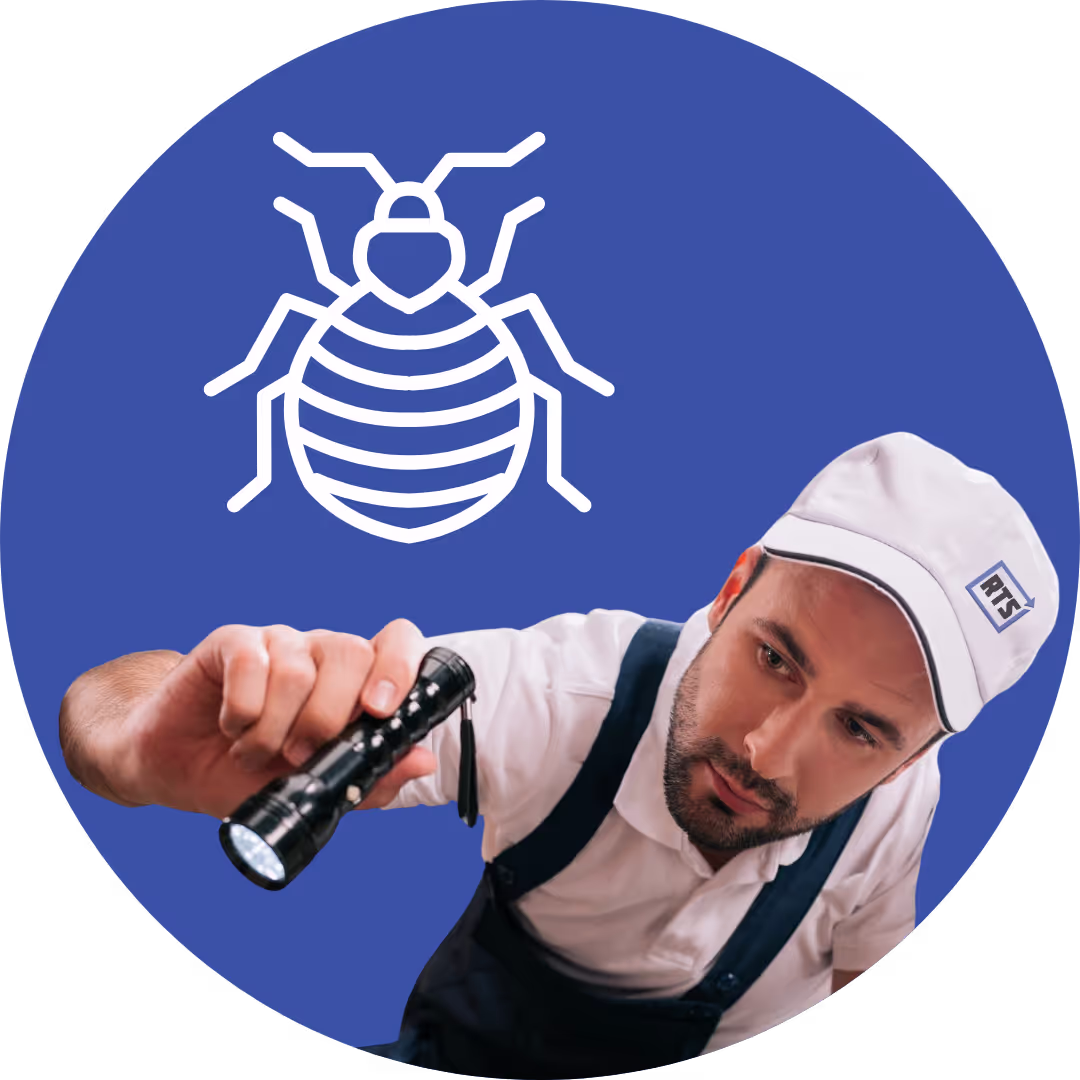 Cockroach Extermination Expert Patterson
