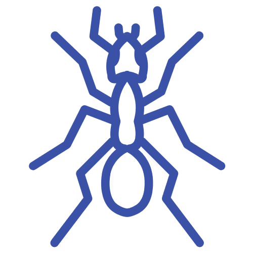 Bed Bug Icon