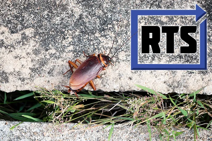 Pest Control Family