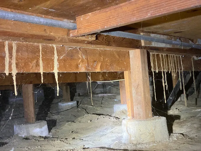 Termite Inspection Oakdale CA