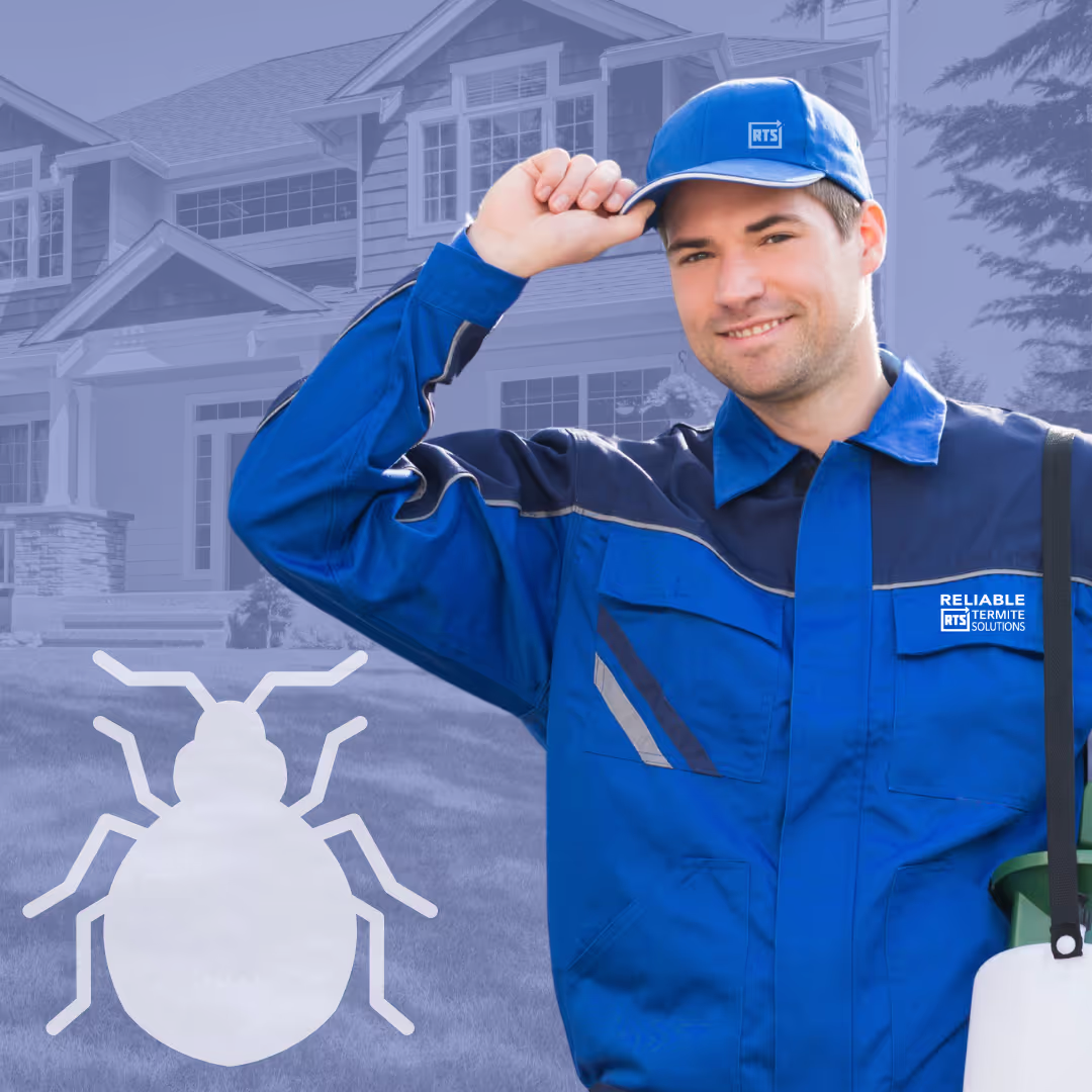 Bed Bug Exterminator Tech