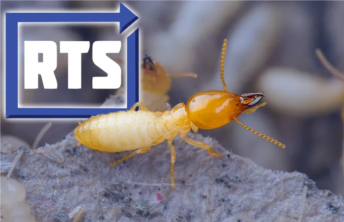Pest Control Family