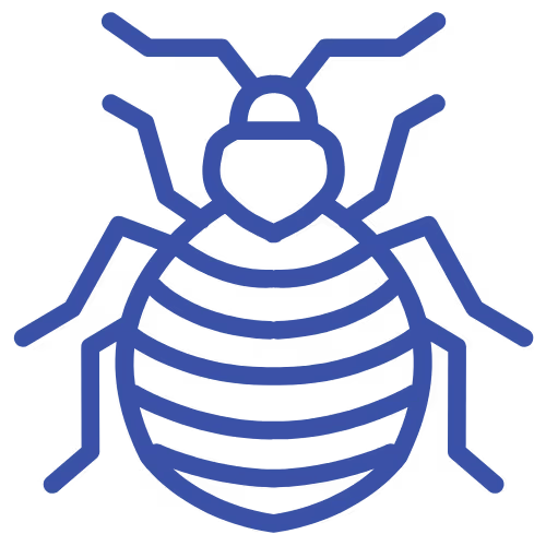 Bed Bug Icon
