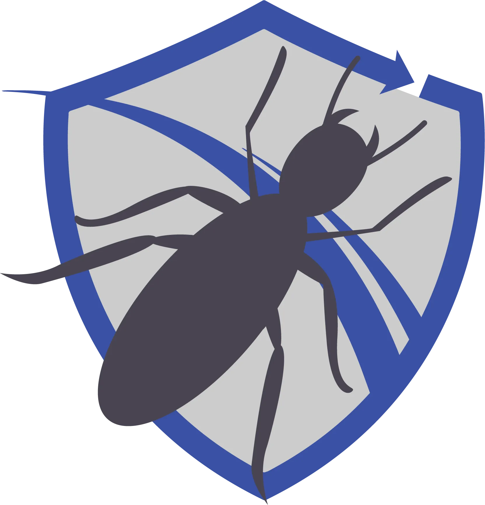 Termite Inspections Near Me