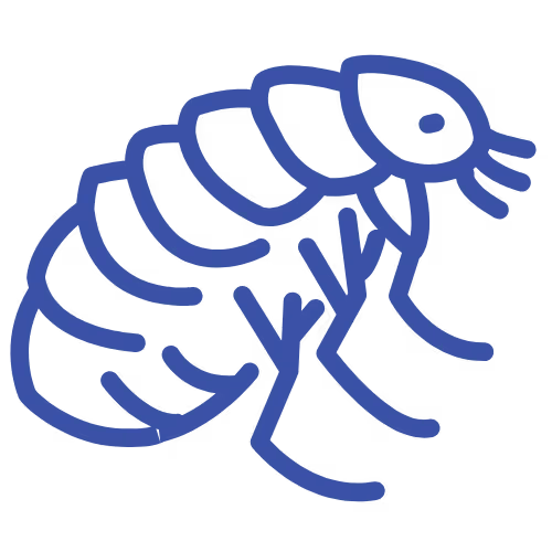 Flea Icon