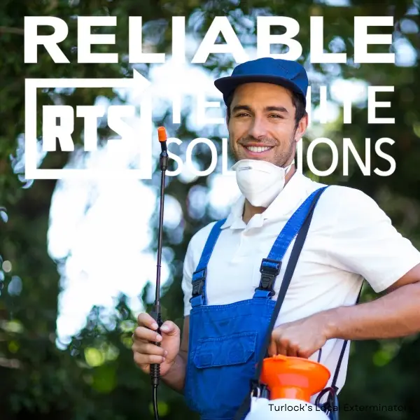 Ant Removal Close By